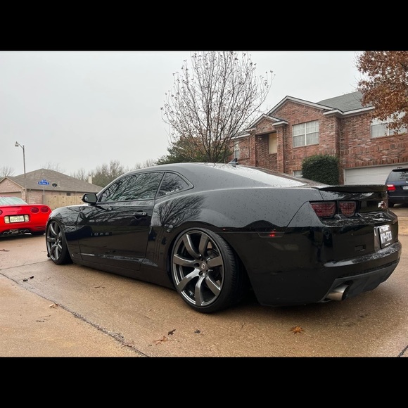 Meet your Posher, Tyler - Picture 1 of 1